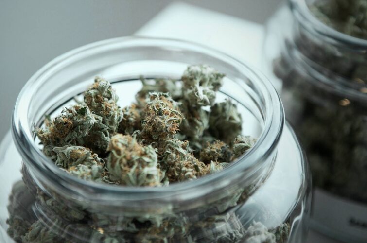 Assorted cannabis edibles arranged on a table for an educational guide